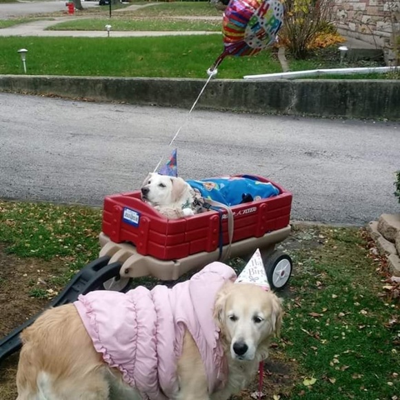 Meet your Posher, Leslie - Picture 2 of 8